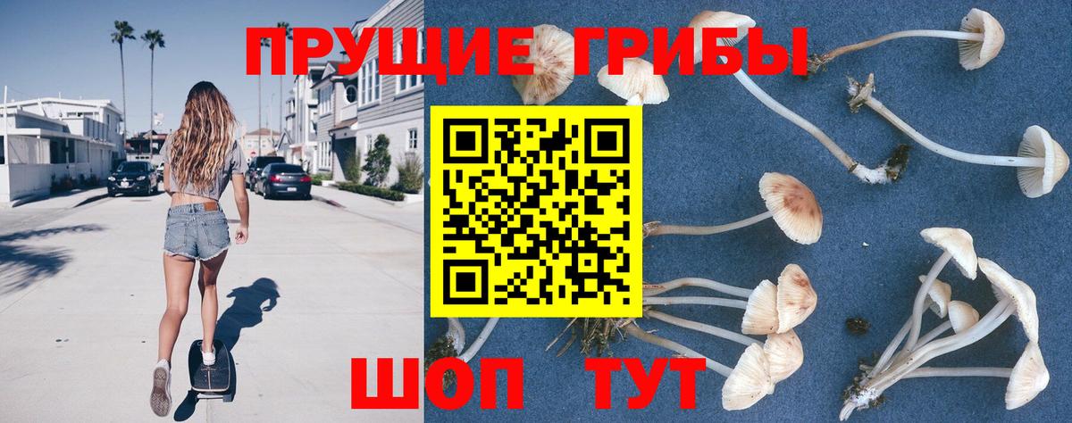 Псилоцибиновые грибы Magic Shrooms  Галлюциногенные грибы Psilocybine cubensis  Вход с VPN  Чусовой 